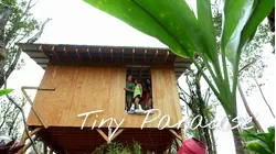 Tiny Hawaiian Hideaway