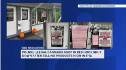 Illegal cannabis shop shut down in Red Hook after complaints