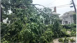 Storm cleanup continues in Rye as downed trees and wires close major road