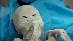 Estas fueron las historias más insólitas de Al Rojo Vivo en 2025