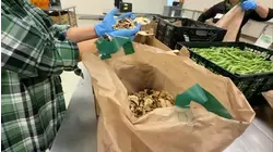 Contra Costa Co. nonprofit launches massive food drive