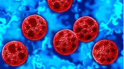 Two Deaths Linked to Cyclosporiasis Outbreak in Michigan