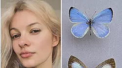 Charlotte light rail stabbing victim 'immortalized' in name of butterfly species