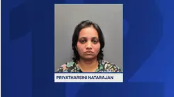 Hillsborough mom accused of murdering two young sons