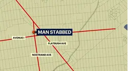 Man stabbed in the neck on Nostrand Avenue; suspect on the run