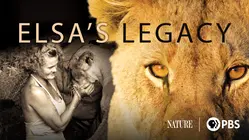Elsa's Legacy: The Born Free Story