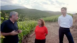 A Bite of Greek Wine