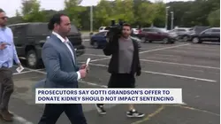 Federal prosecutors say mob boss John Gotti's grandson's sentencing should not be impacted by kidney donation