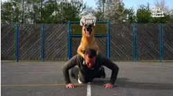 Tricks