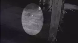 Kentucky Spirit and More