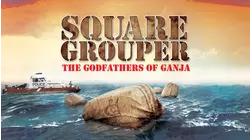 Square Grouper: The Godfathers Of Ganja