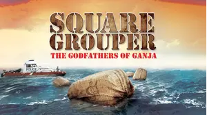 Square Grouper: The Godfathers Of Ganja