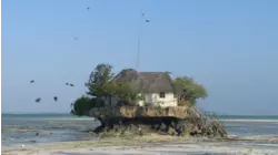 Zanzibar, Tanzania featuring Kenny G, India.Arie, Stephen Bishop, and Nestor Torres
