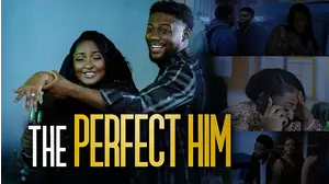 The Perfect Him