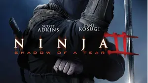 Ninja: Shadow of a Tear