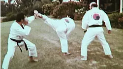 Thrillseekers : Martial Arts, Water Skiing, Parachutes, Airshows & Bath Tub racing!