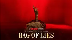 Bag Of Lies