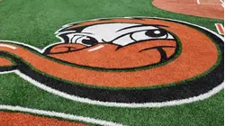 LI Ducks tryouts to be held this weekend for 2026 season