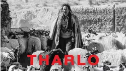 Tharlo
