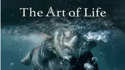The Art of Life