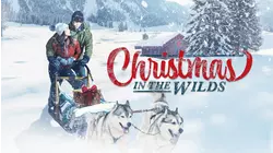 Christmas in the Wilds