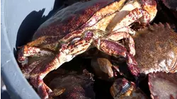 Some Seas Change, Some Seas Stay the Same