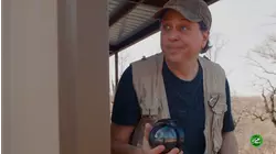 Dinosaur Surprise Egg Hunt with Dynamite