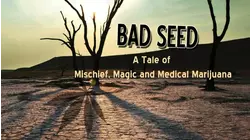 Bad Seed: A tale of mischief, magic and medical marijuana.