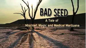 Bad Seed: A tale of mischief, magic and medical marijuana.