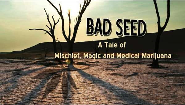 Bad Seed: A tale of mischief, magic and medical marijuana. on FREECABLE TV