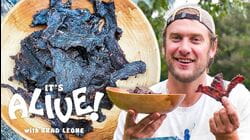 Brad Makes Bison Jerky
