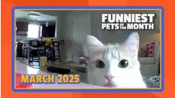 Funniest Pets of the Month | Ep. 2.4