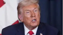 Trump has no power to 'meddle with elections': Legal scholar