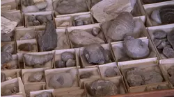 James Braxton and Arusha Irvine, Day 4