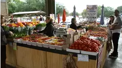 NC grocers and vendors bracing for impact of SNAP funding freeze