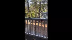 CBP agents captured on video in Durham neighborhood: Raw