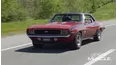 Detroit Muscle
