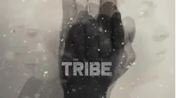 The Tribe