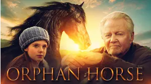 Orphan Horse
