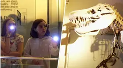 Museum of Natural History's 'Night at the Museum' Returns