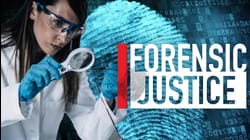 The Hedge Fund Fraudster