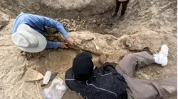 Inside Myles Garrett's incredible dig for fossils in North Dakota
