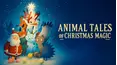Animal Tales of Christmas Magic