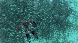 Masters and Students