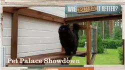 Who Built It Better? | Pet Palace Showdown