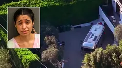 Tiene antecedentes: esto se sabe de la mujer que disparó contra la casa de Rihanna en Los Ángeles