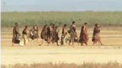 Human Migration