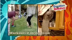 Goodies VS. Baddies | Workouts & Destruction