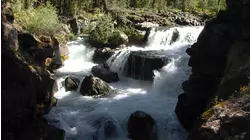 Rogue River Falls, Oregon featuring Steve Cole