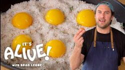 Brad Makes Cured Egg Yolks